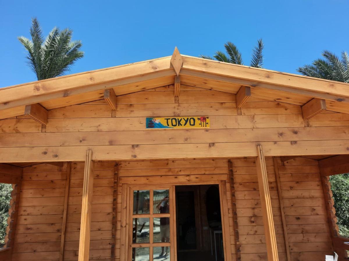 Cyprus Glamping Park Hotel Agios Theodoros Bagian luar foto