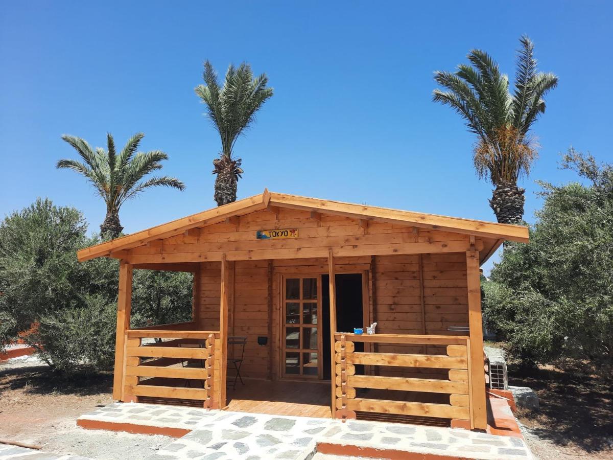 Cyprus Glamping Park Hotel Agios Theodoros Bagian luar foto