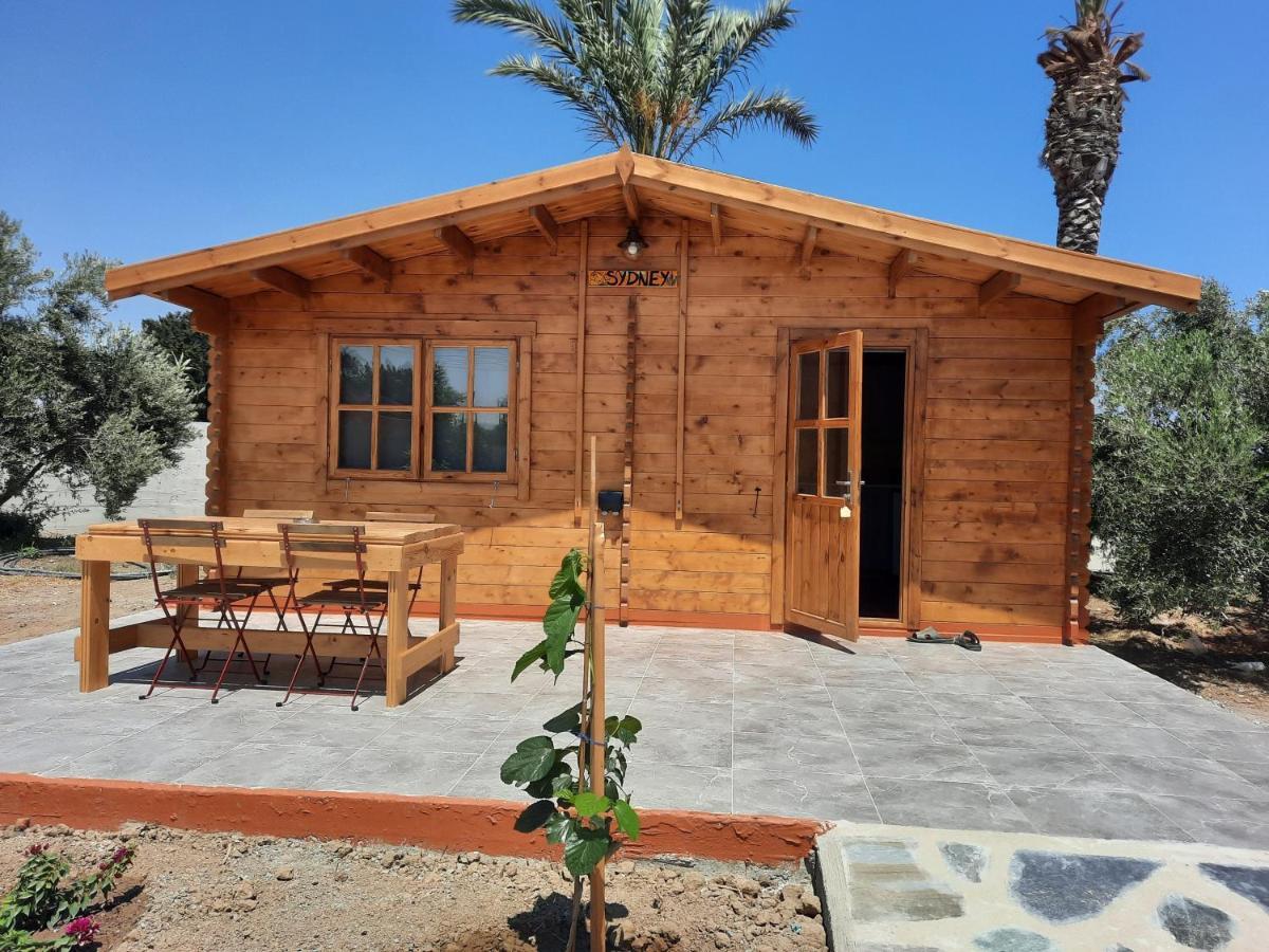 Cyprus Glamping Park Hotel Agios Theodoros Bagian luar foto